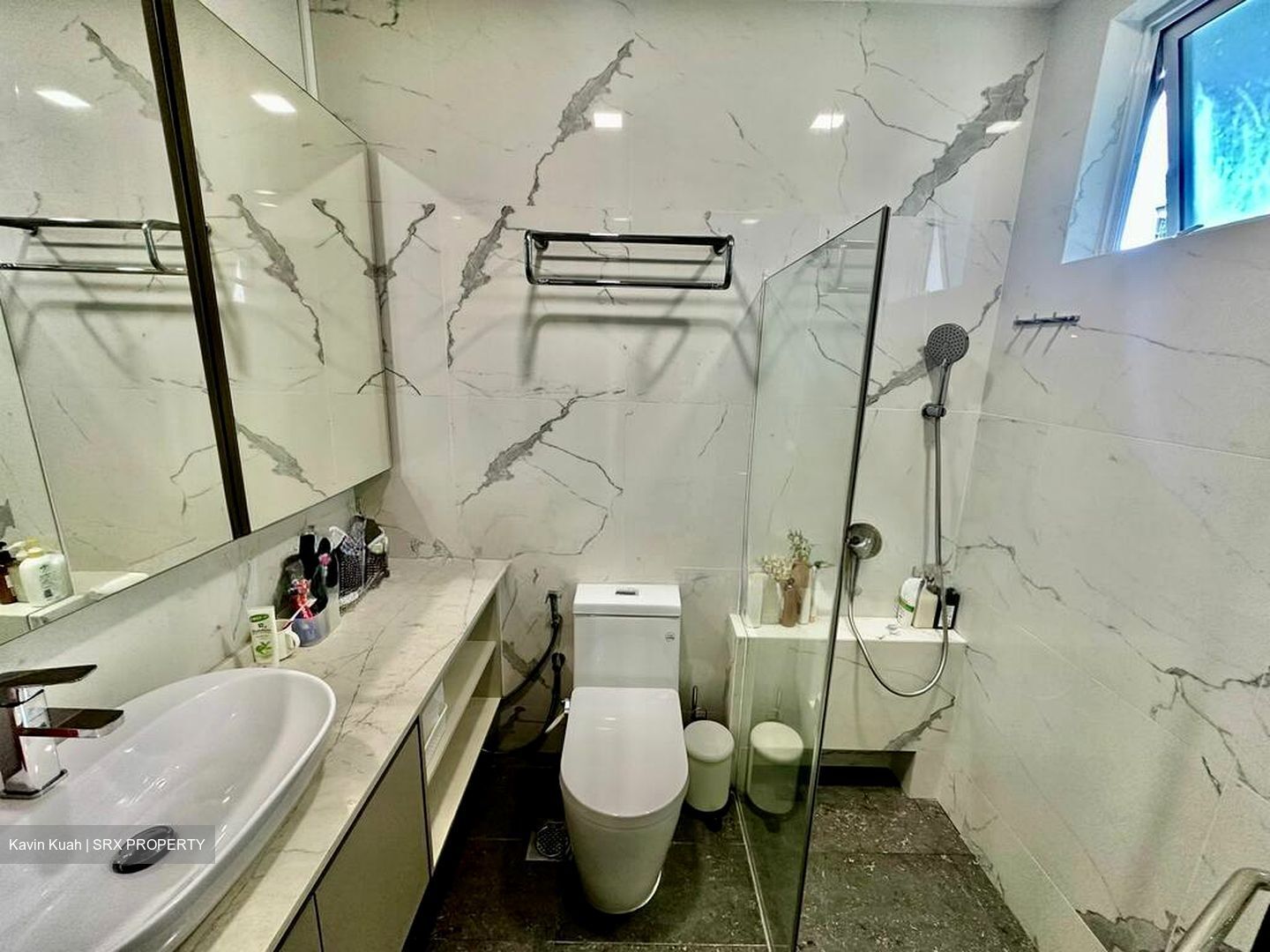 Proximo (D10), Apartment #501681981